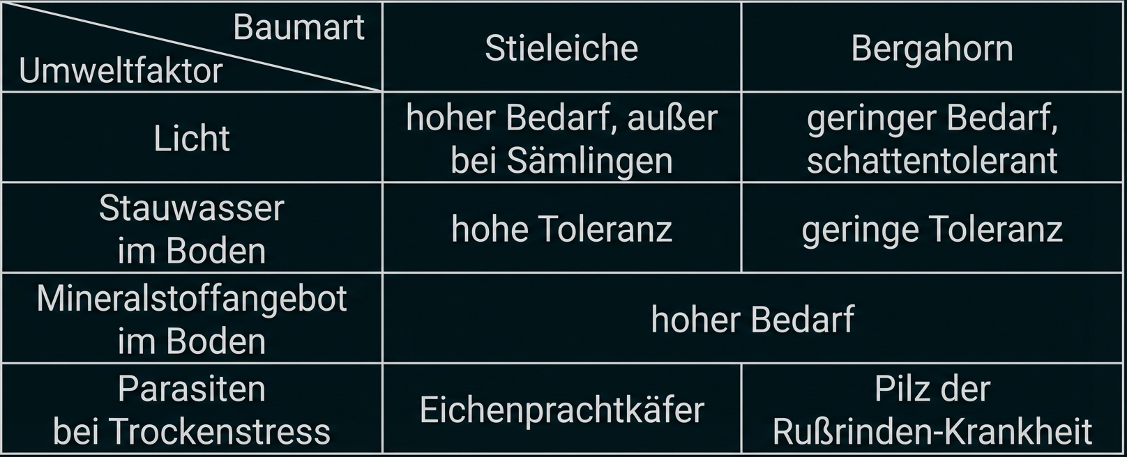 Tabelle: Stieleiche vs. Bergahorn – Licht, Staunässe, Nährstoffbedarf, typische Parasiten